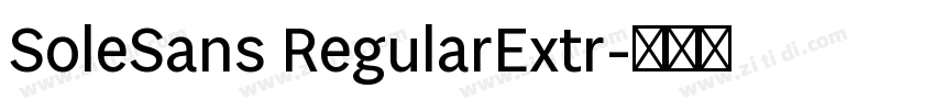 SoleSans RegularExtr字体转换